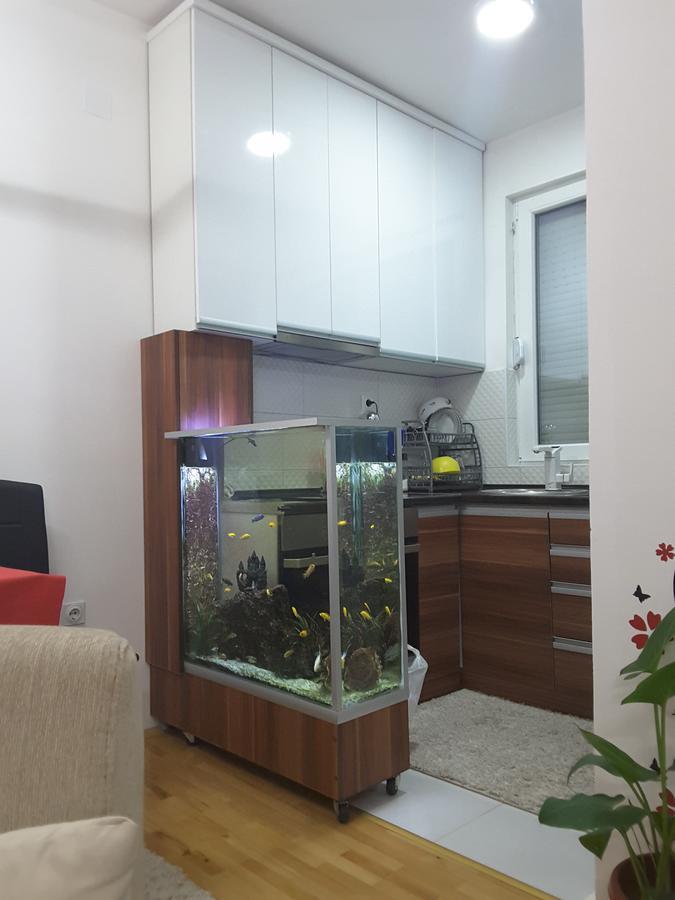 Apartment 韦莱斯 外观 照片